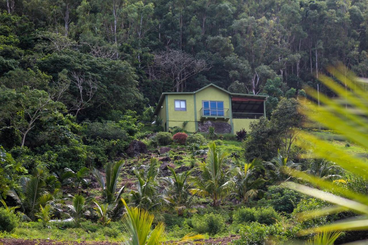 The Green Shack Quatre Soeurs Exterior foto
